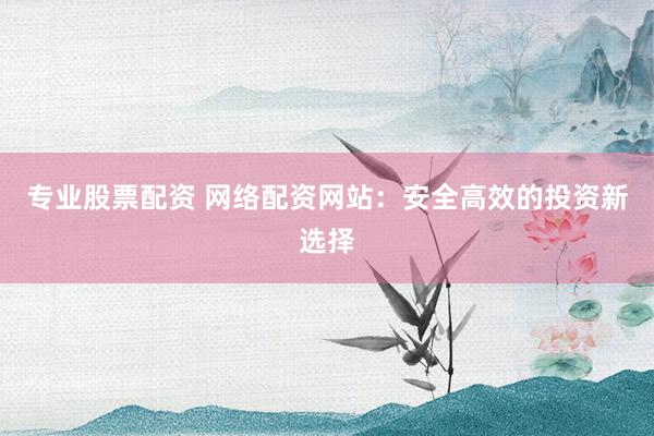 专业股票配资 网络配资网站：安全高效的投资新选择