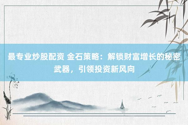 最专业炒股配资 金石策略：解锁财富增长的秘密武器，引领投资新风向