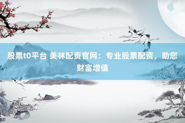 股票t0平台 美林配资官网：专业股票配资，助您财富增值