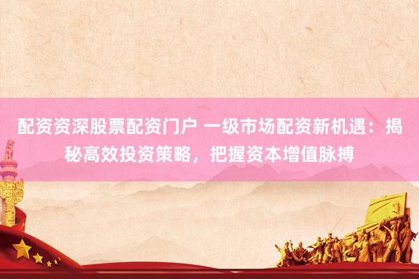 配资资深股票配资门户 一级市场配资新机遇：揭秘高效投资策略，把握资本增值脉搏