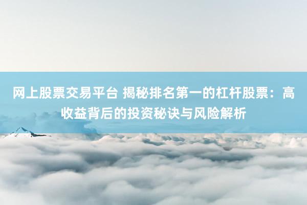 网上股票交易平台 揭秘排名第一的杠杆股票：高收益背后的投资秘诀与风险解析