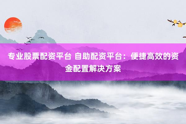 专业股票配资平台 自助配资平台:便捷高效的资金配置解决方案