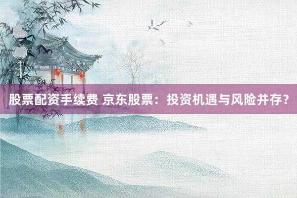 股票配资手续费 京东股票:投资机遇与风险并存?
