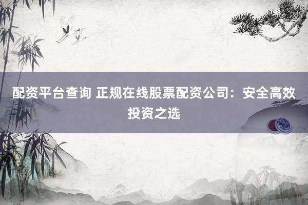 配资平台查询 正规在线股票配资公司:安全高效投资之选