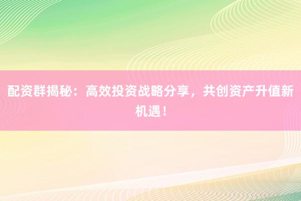 配资群揭秘:高效投资战略分享,共创资产升值新机遇!