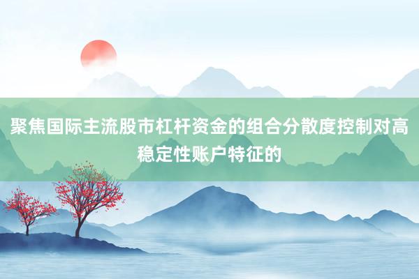 聚焦国际主流股市杠杆资金的组合分散度控制对高稳定性账户特征的