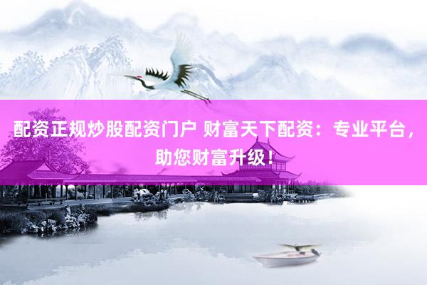 配资正规炒股配资门户 财富天下配资：专业平台，助您财富升级！